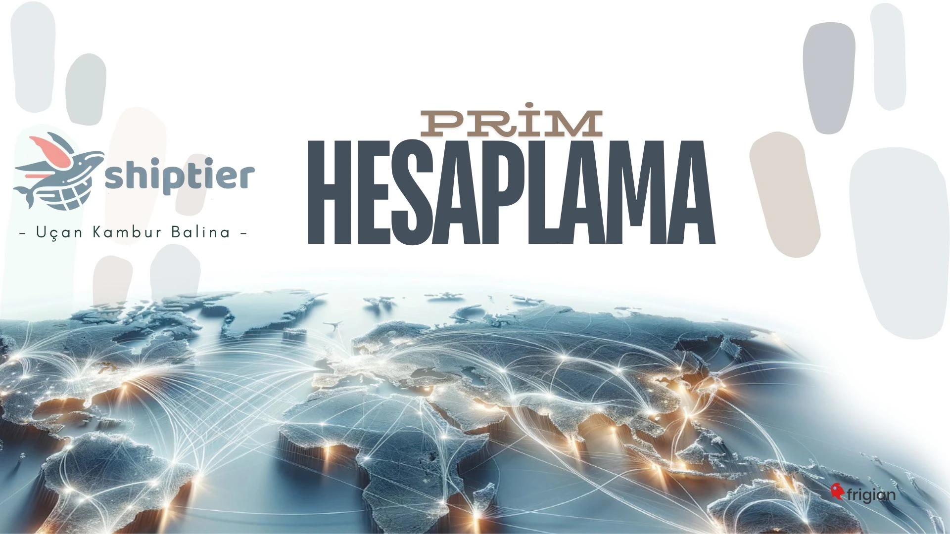 Freight Forwarder İşletmelerinin Temel Yapı Taşları ve Shiptier ile Dijital Dönüşüm