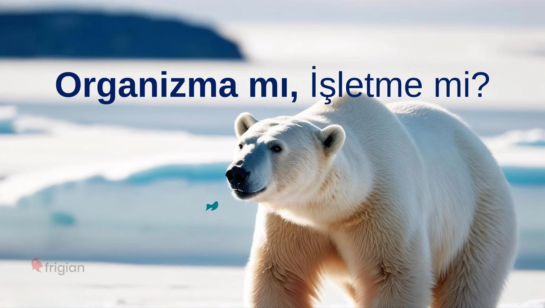 Binlerce Yıllık Doğa Bilgeliği Modern Yönetime Nasıl Rehber Oluyor?
