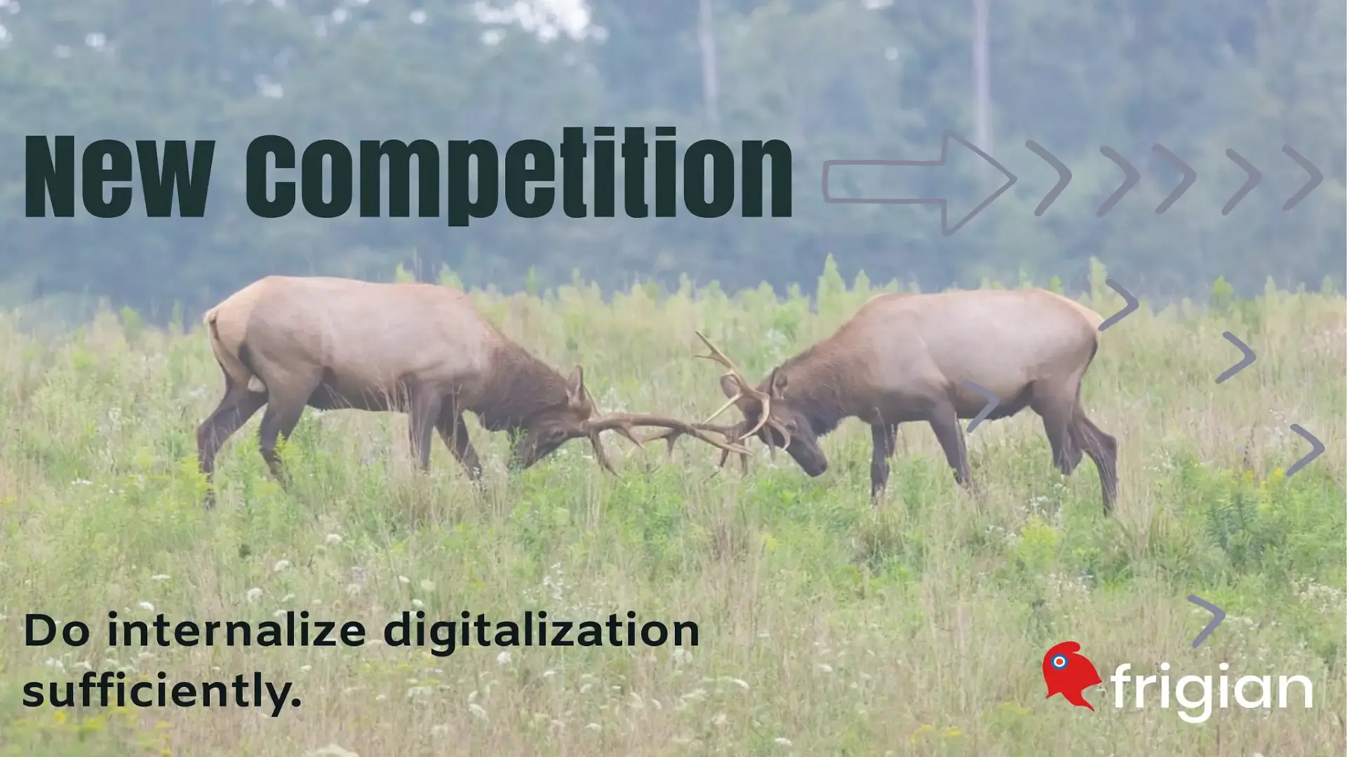 Internalizing Digital Transformation on Transportation